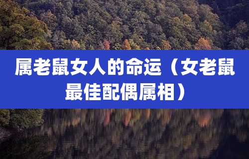 属老鼠女人的命运（女老鼠最佳配偶属相）