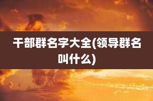 干部群名字大全(领导群名叫什么)