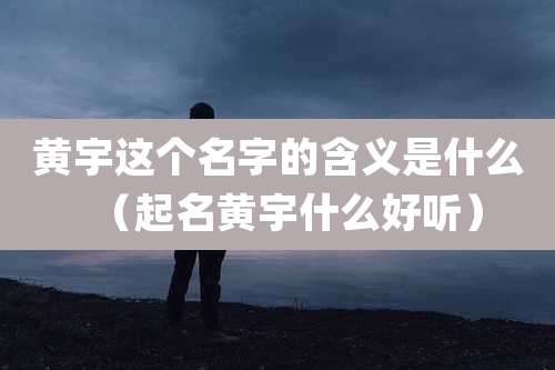 黄宇这个名字的含义是什么（起名黄宇什么好听）