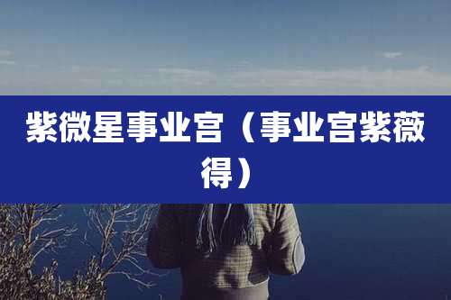 紫微星事业宫(事业宫紫薇得)