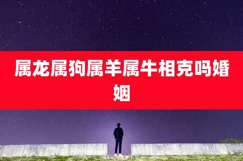 属龙属狗属羊属牛相克吗婚姻
