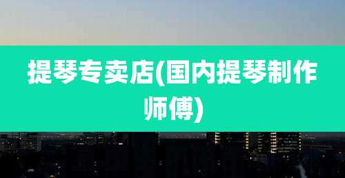 提琴专卖店(国内提琴制作师傅)