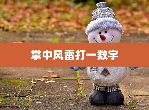 掌中风雷打一数字