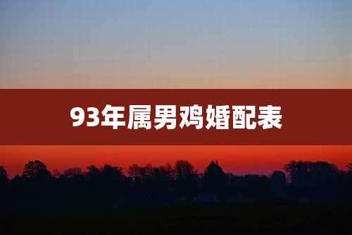 93年属男鸡婚配表