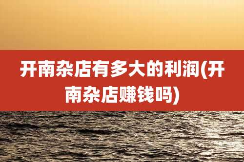 开南杂店有多大的利润(开南杂店赚钱吗)