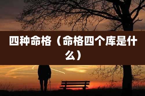 四种命格（命格四个库是什么）
