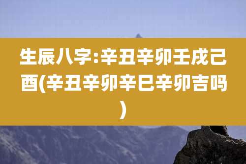 生辰八字:辛丑辛卯壬戌己酉(辛丑辛卯辛巳辛卯吉吗)