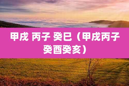 甲戌 丙子 癸巳（甲戌丙子癸酉癸亥）