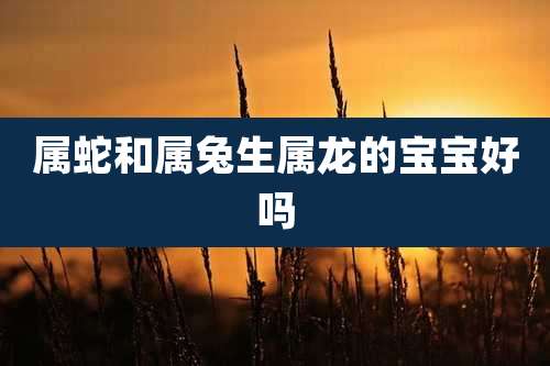 属蛇和属兔生属龙的宝宝好吗