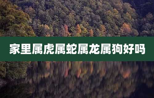 家里属虎属蛇属龙属狗好吗