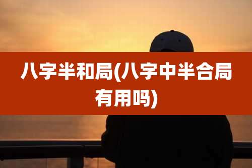 八字半和局(八字中半合局有用吗)