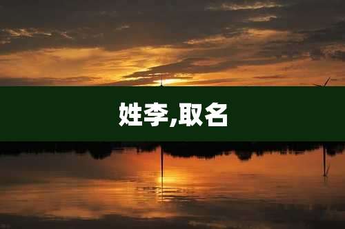 姓李,取名