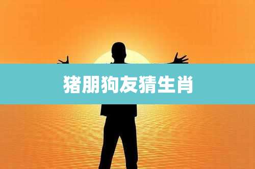 猪朋狗友猜生肖