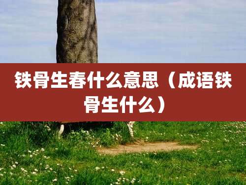 铁骨生春什么意思（成语铁骨生什么）