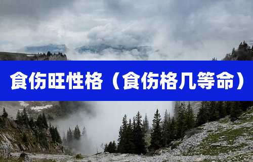 食伤旺性格（食伤格几等命）