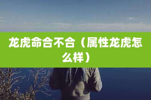 龙虎命合不合（属性龙虎怎么样）