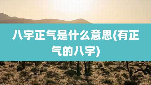 八字正气是什么意思(有正气的八字)