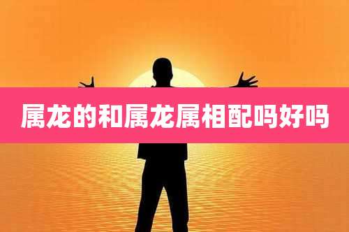 属龙的和属龙属相配吗好吗