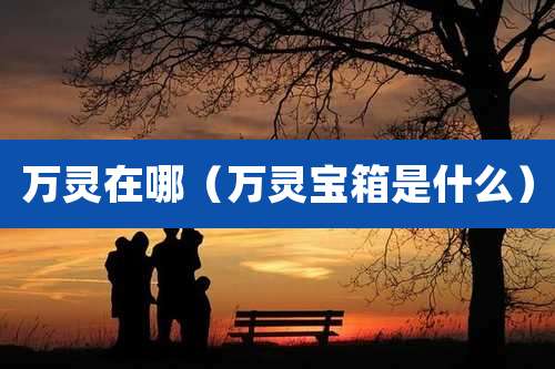 万灵在哪（万灵宝箱是什么）
