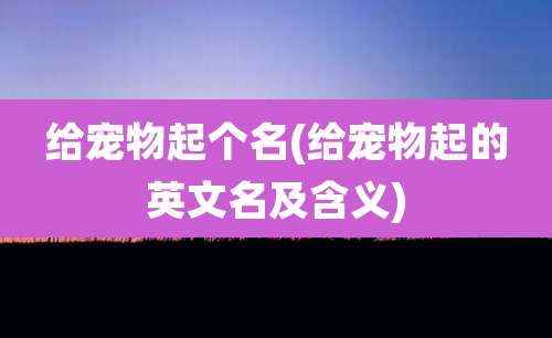 给宠物起个名(给宠物起的英文名及含义)