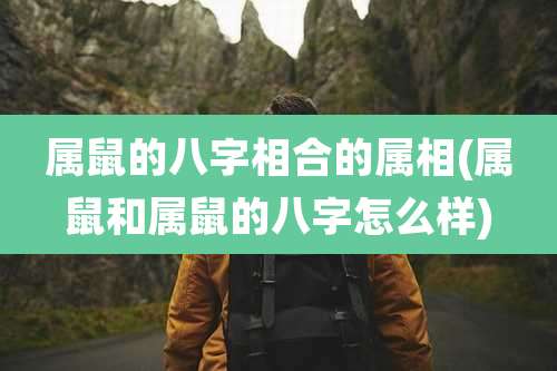 属鼠的八字相合的属相(属鼠和属鼠的八字怎么样)