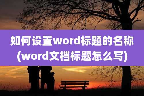 如何设置word标题的名称(word文档标题怎么写)