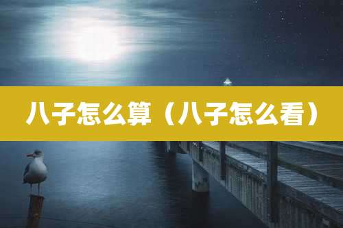 八子怎么算（八子怎么看）