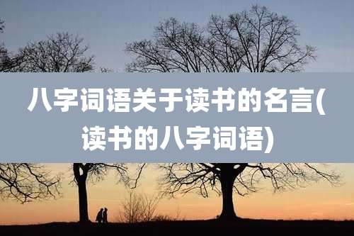八字词语关于读书的名言(读书的八字词语)