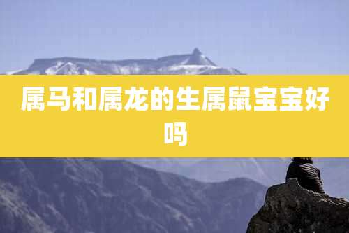 属马和属龙的生属鼠宝宝好吗