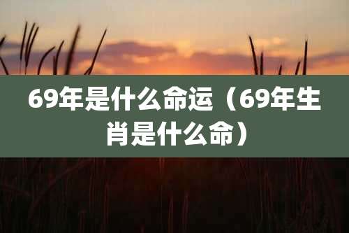 69年是什么命运（69年生肖是什么命）