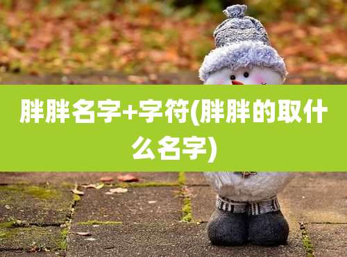 胖胖名字+字符(胖胖的取什么名字)