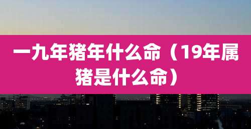 一九年猪年什么命（19年属猪是什么命）