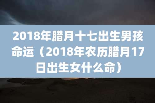 2018年腊月十七出生男孩命运（2018年农历腊月17日出生女什么命）