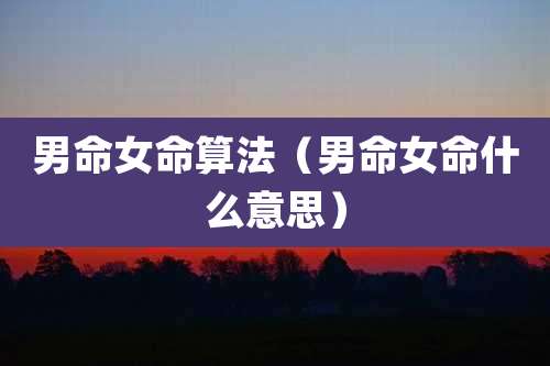 男命女命算法（男命女命什么意思）