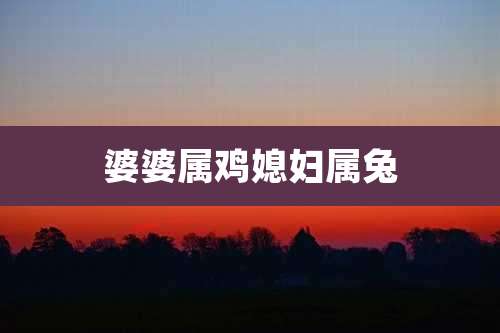 婆婆属鸡媳妇属兔