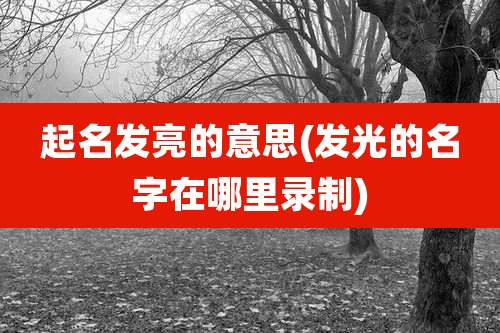 起名发亮的意思(发光的名字在哪里录制)