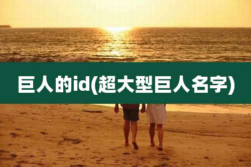 巨人的id(超大型巨人名字)