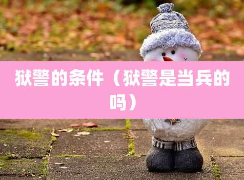 狱警的条件(狱警是当兵的吗)