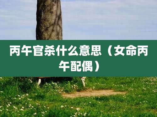 丙午官杀什么意思（女命丙午配偶）