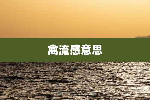 禽流感意思