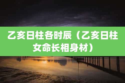 乙亥日柱各时辰（乙亥日柱女命长相身材）