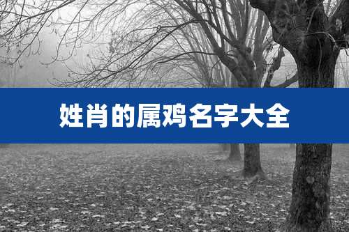 姓肖的属鸡名字大全