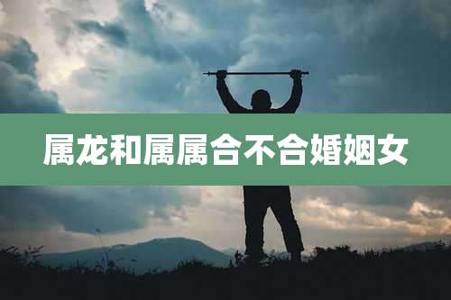 属龙和属属合不合婚姻女