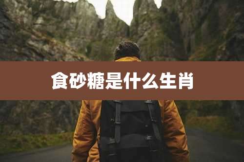 食砂糖是什么生肖