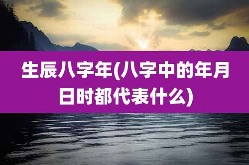 生辰八字年(八字中的年月日时都代表什么)