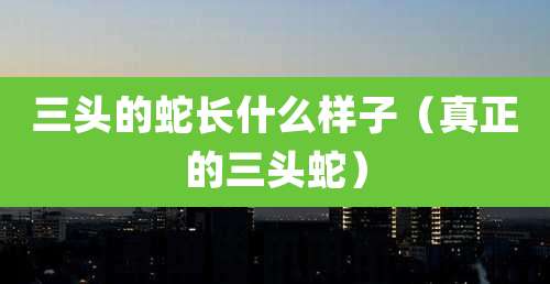 三头的蛇长什么样子（真正的三头蛇）