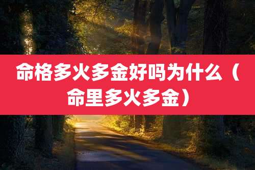 命格多火多金好吗为什么（命里多火多金）