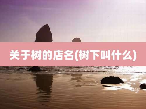 关于树的店名(树下叫什么)