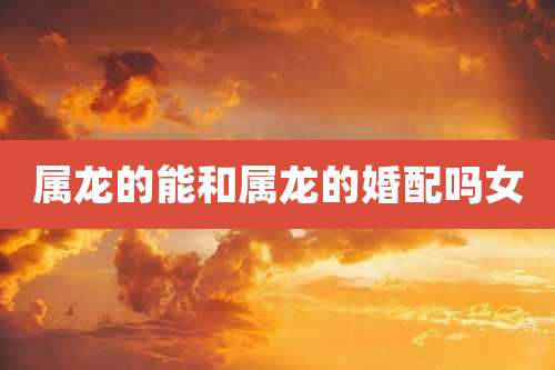 属龙的能和属龙的婚配吗女