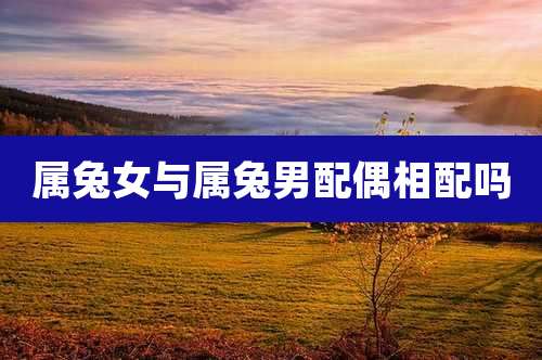 属兔女与属兔男配偶相配吗